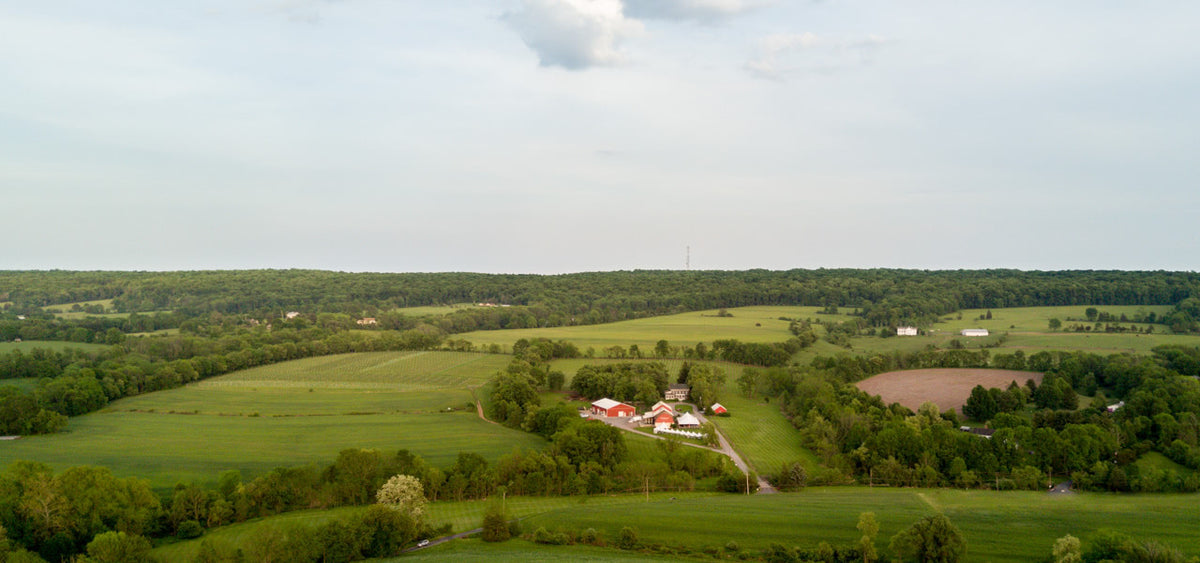 A vista of Unionville Vineyards in East Amwell, Hunterdon County, New Jersey. Unionville Vineyards is a fine winery producing Chardonnay, Pinot Noir, and Rhone blends.